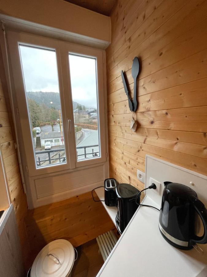 Appt Lumineux Centre Ville Du Mont Dore Vue Sancy Le Mont-Dore Exterior foto